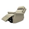 Willow Leather Rise Recline Chair